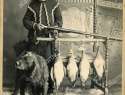 young-woman-putting-a-shell-into-a-shotgun-a-hunting-dog-ducks-ca-1890-ptgr-john-wikstrom-isanti-mi-mp-ap-T7YJCH.jpg